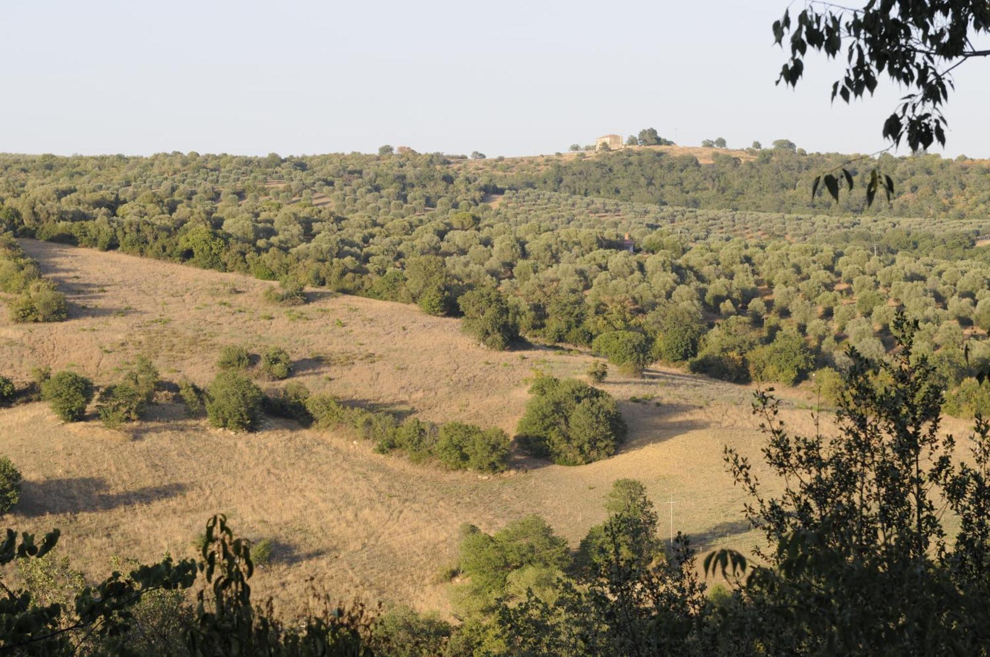 מליאנו אין טוסקנה Le Tartarughe Rooms מראה חיצוני תמונה